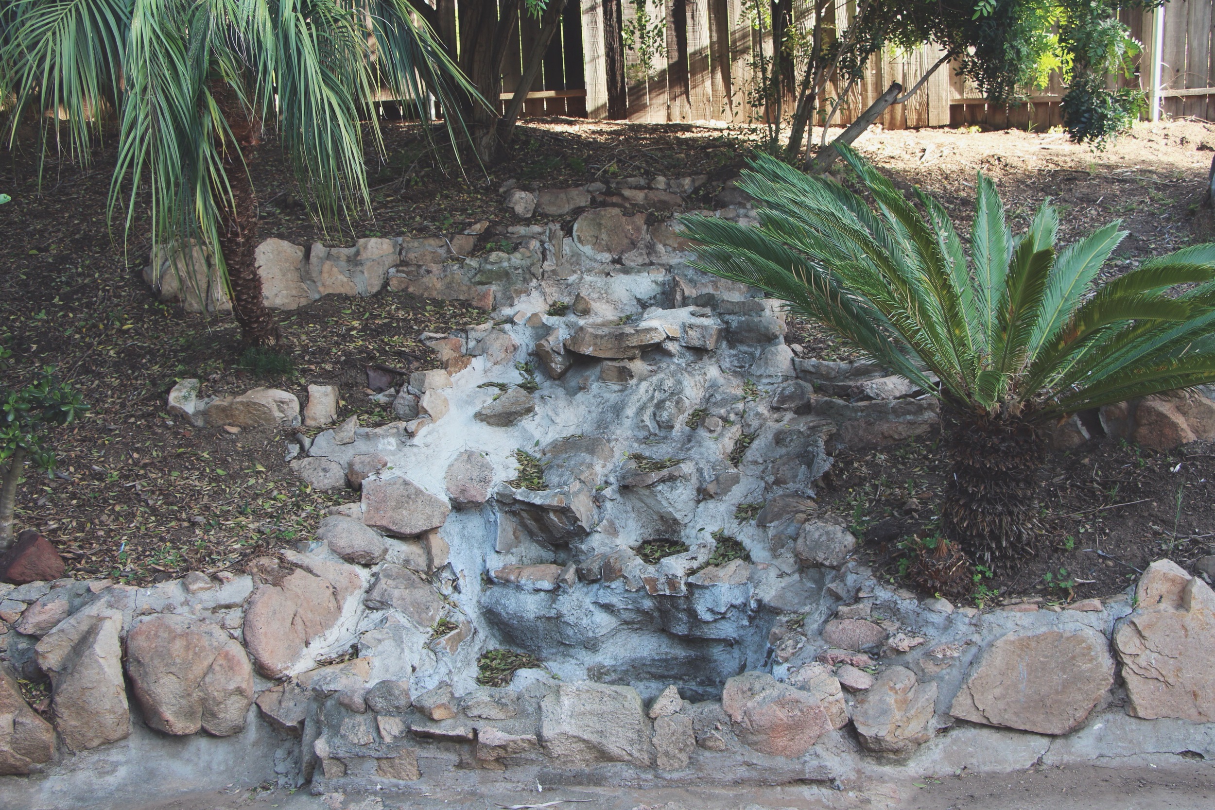 succulent-waterfall-needlesandleaves-net.jpg